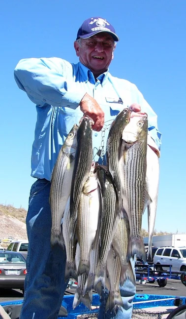 PROFESSIONAL ARIZONA FISHING GUIDES ON PLEASANT, BARTLETT