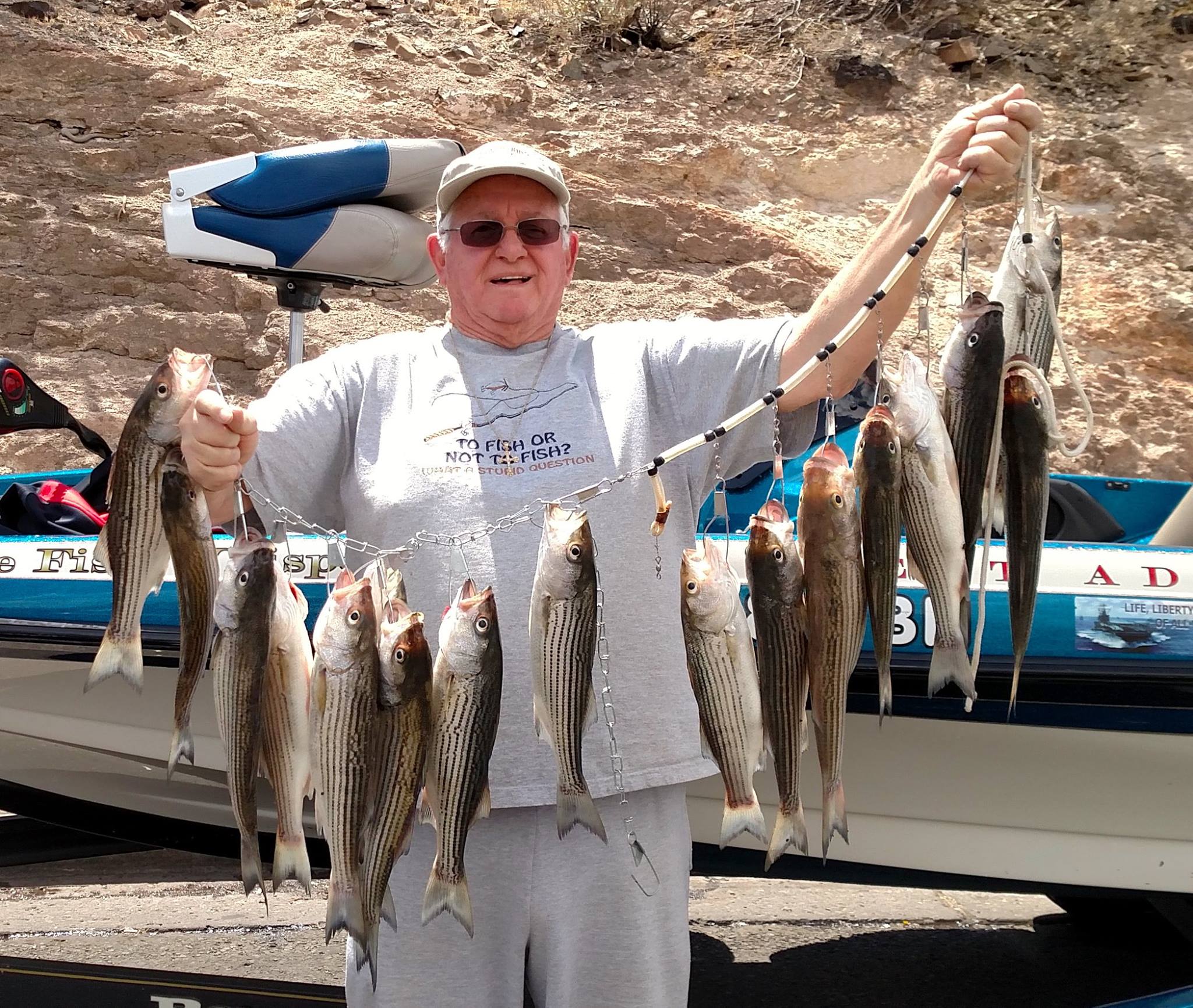 Photo showing fish caught on Roosevelt Lake, AZ